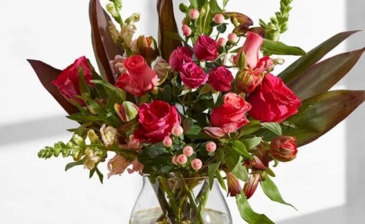 A bunch of red flowers from Bloom & Wild