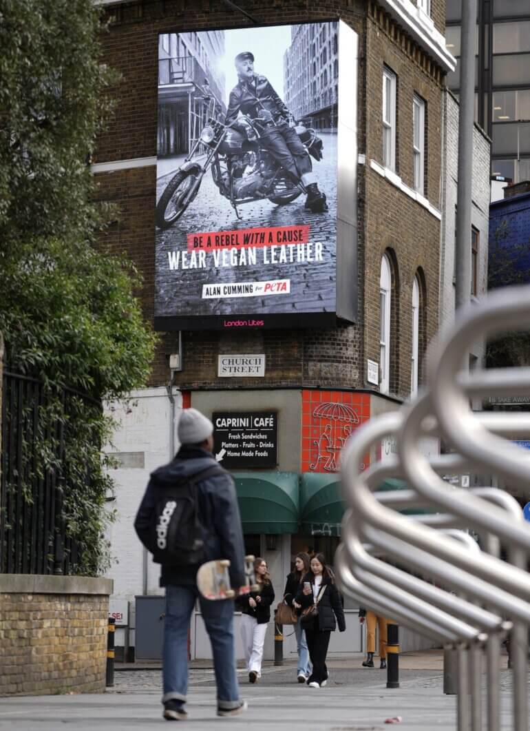 An Alan Cumming billboard showing him wear vegan leather