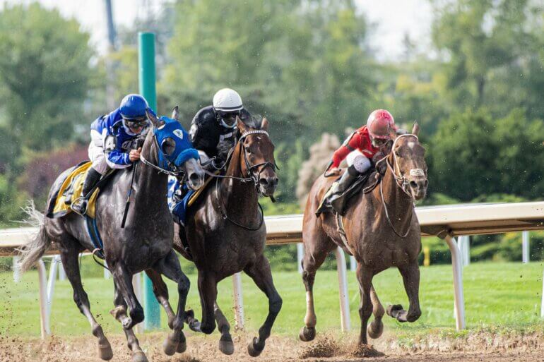 Horses on a race course