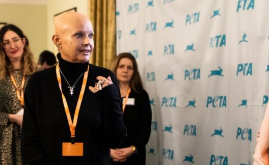 TV personality and animal advocate Gail Porter standing in front of a PETA background