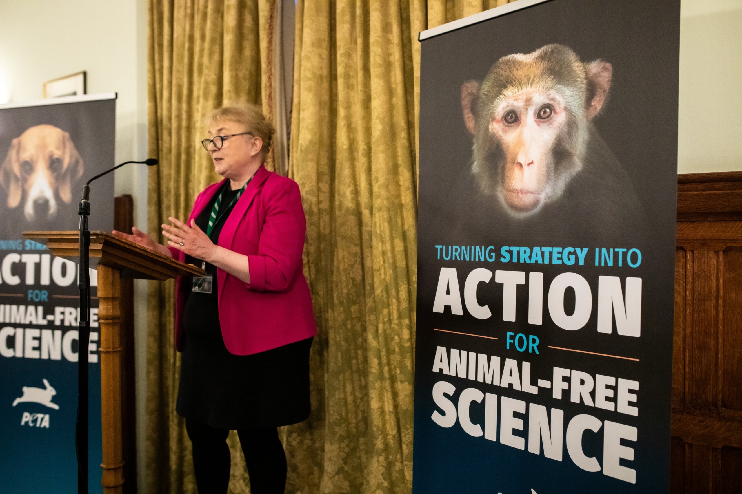 Irene Campbell, MP, speaking at a PETA parliamentary event on ending animal testing