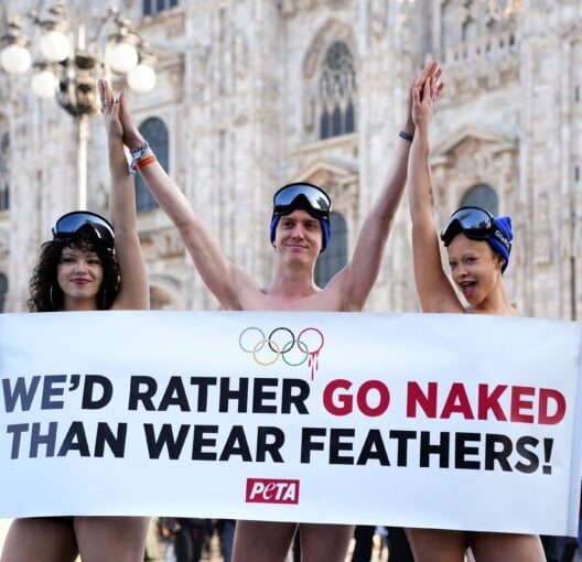 PETA protestors at the Winter Olympics