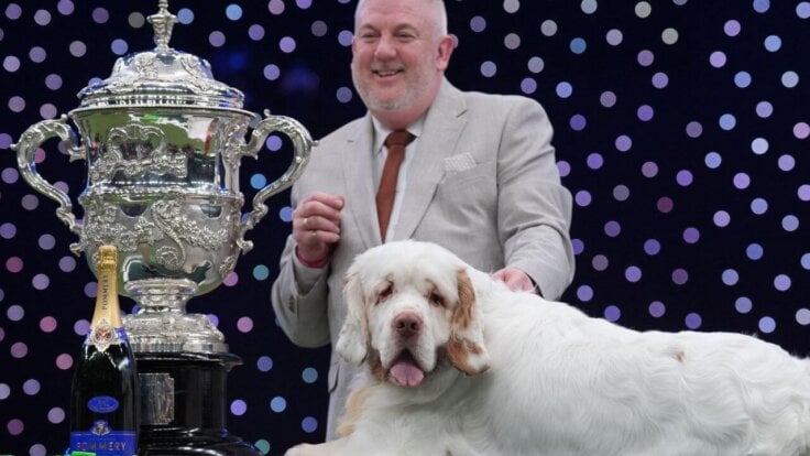 Crufts winner Lee Cox with the winning clumber spaniel next to their trophy at Crufts