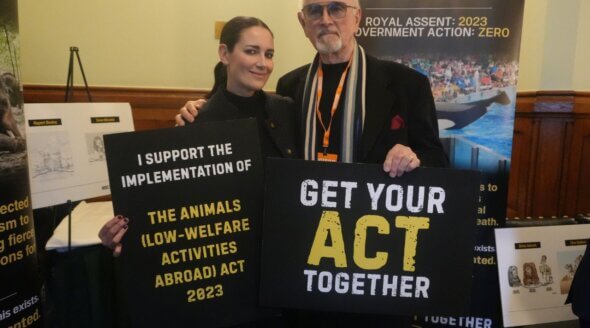 Inside the Low Welfare Act Coalition’s Parliamentary Event on Ending Cruel Animal Tourism
