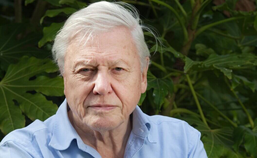 Sir David Attenborough in front of a green hedge