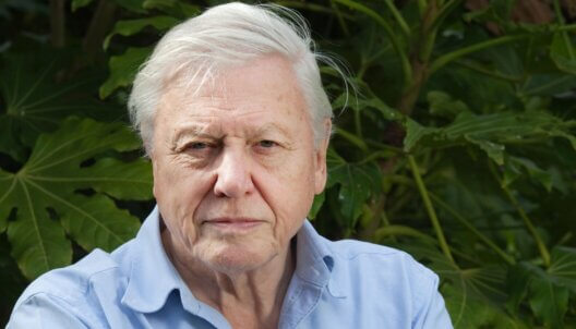 Sir David Attenborough in front of a green hedge