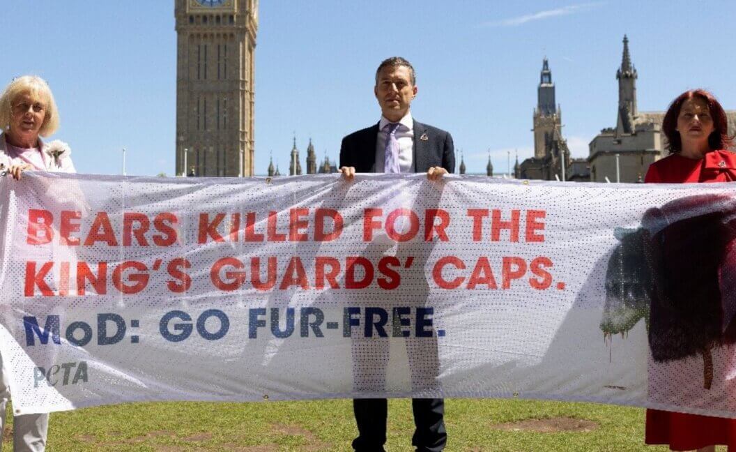MPs holding up a banner reading, "Bears Killed for the King's Guard Caps. MoD: Go Fur-Free