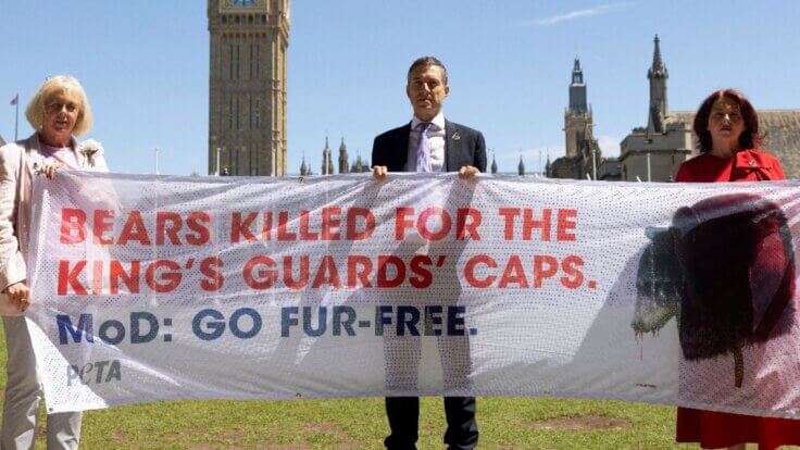 MPs holding up a banner reading, "Bears Killed for the King's Guard Caps. MoD: Go Fur-Free