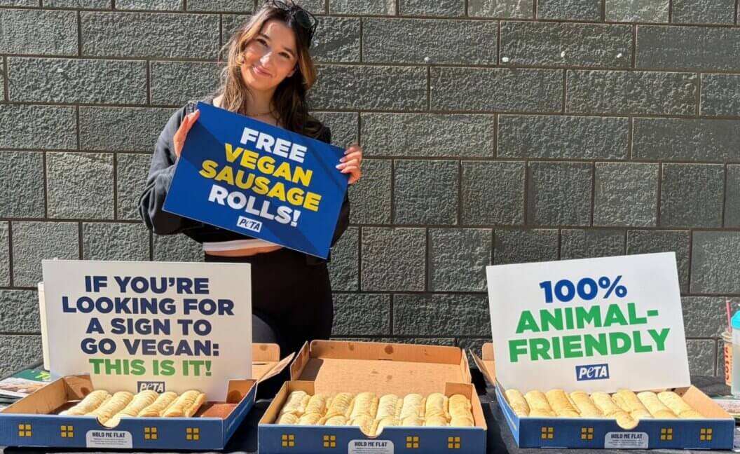 A university student giving out free vegan sausage rolls from Greggs