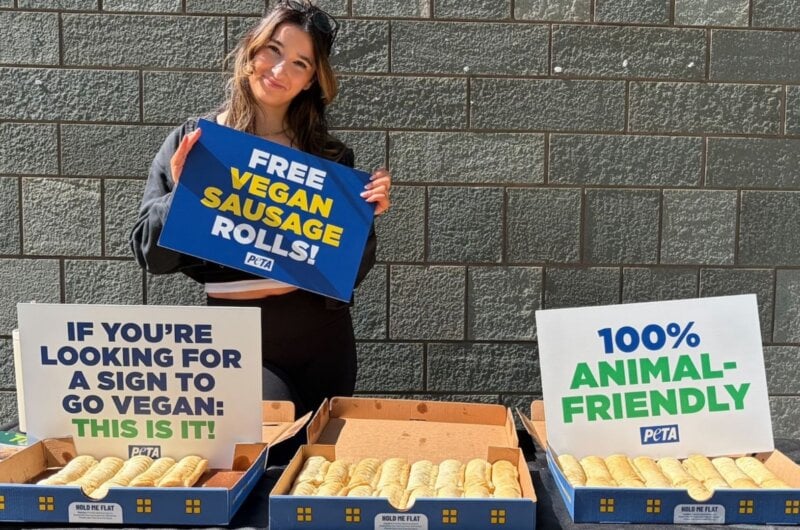 A university student giving out free vegan sausage rolls from Greggs