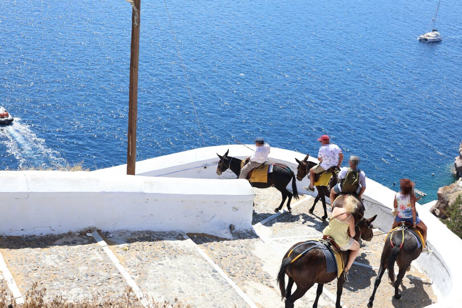Activists Attacked During Peaceful Protest Against Santorini Donkey Rides 